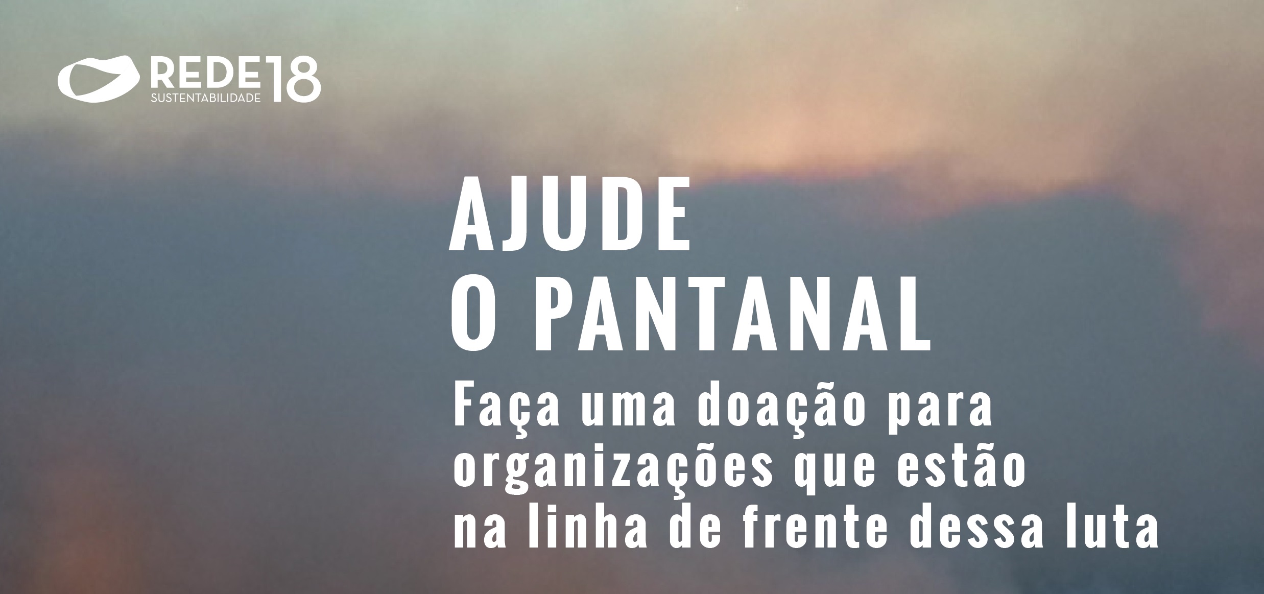 Leia mais sobre o artigo AJUDE O PANTANAL